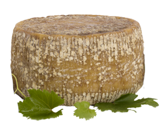 Pecorino Aged in Cave 2Kg