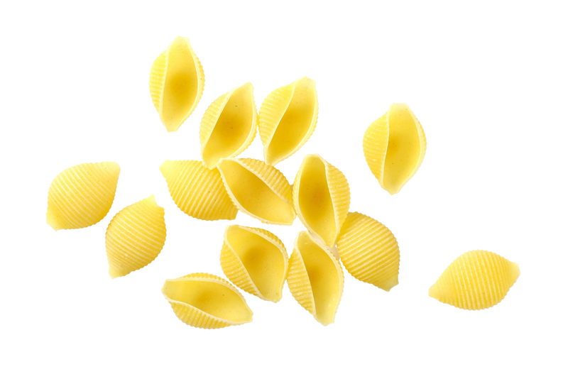 "Opera" Conchiglie