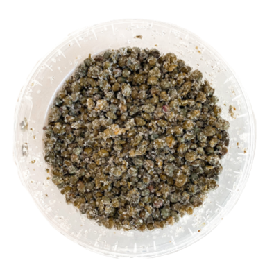 Lilliput Capers 1Kg